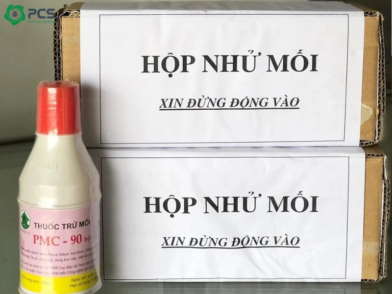 Cách diệt mối đất tại nhà 